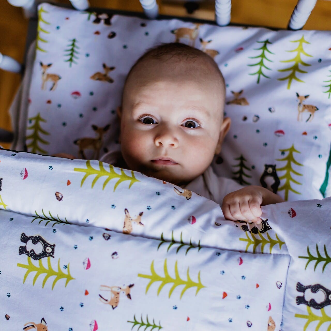 BIO Baumwolle Baby Bettdecke und Kissen mit Füllung Set BOBILOV